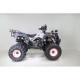 Квадроцикл WELS ATV Thunder 200 LUX