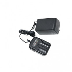 Зарядное устройство Greenworks G40UCM2M 2946507