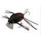 Воблер JACKALL Chubby Bug 35 mat red timber beetle