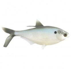 Мягкая приманка 13FISHING B.A.M.F. Shad 8/Silver Shad