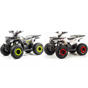 Квадроцикл Motoland VOX125 WILD