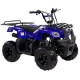 Квадроцикл IRBIS ATV70U 70cc 4т