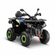 Квадроцикл GLADIATOR F200 Long черный