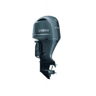 Лодочный мотор YAMAHA FL 250 DETX