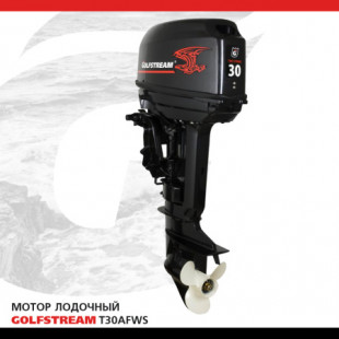 Лодочный мотор Golfstream T30AFWS