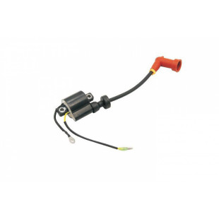 Катушка зажигания высоковольтная Parsun Т40-05090100A