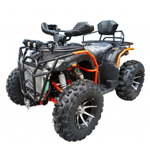 Квадроцикл ATV Grizzly 300 SUPERLONG черный