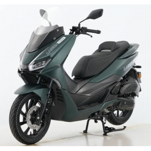 Скутер Gladiator LUCCA Matt green