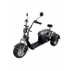 Электроскутер Maikaolin R11 Дабл Харлей трехколесный