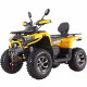 Квадроцикл Motoland VOX250 WILD TRACK X PLUS