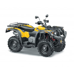 Квадроцикл STELS ATV 500YS LEOPARD жёлтый