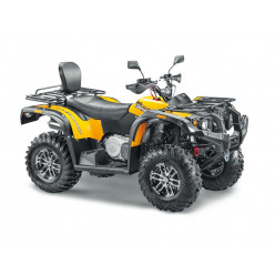 Квадроцикл STELS ATV 600YL LEOPARD жёлтый