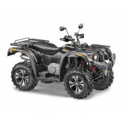 Квадроцикл STELS ATV 600Y LEOPARD