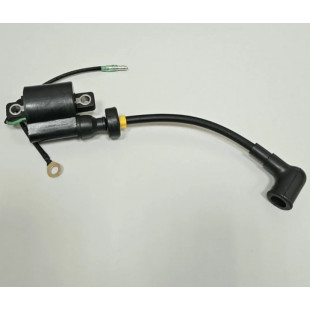 Катушка зажигания высоковольтная Parsun Т40-05090100B