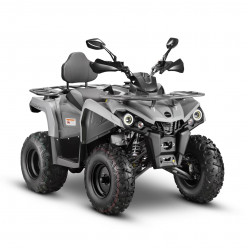 Квадроцикл GLADIATOR F200 серый
