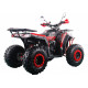 Квадроцикл Racer FreeLander PRO200 XTS красный