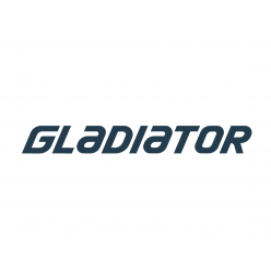 Лодка моторная Gladiator E 330 LT темно-серый