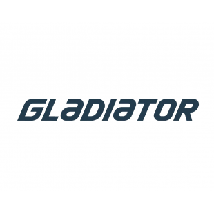 Лодка моторная Gladiator E 350 LT зеленый