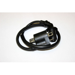 Катушка зажигания 180 CC ATV Glad 3-L11/02006-00001